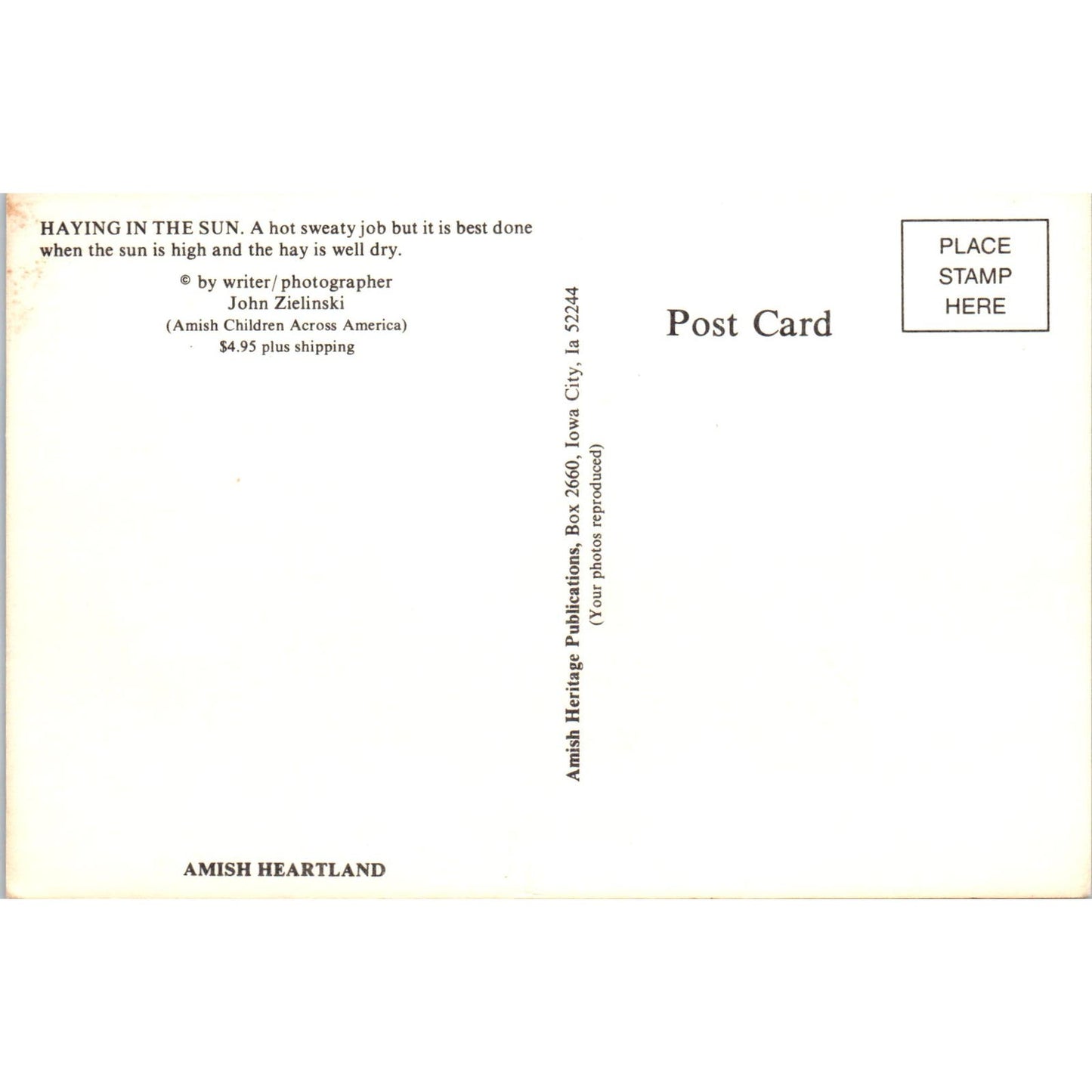 Amish Farmers Haying in the Sun Pennsylvania Dutch Country Postcard PD8