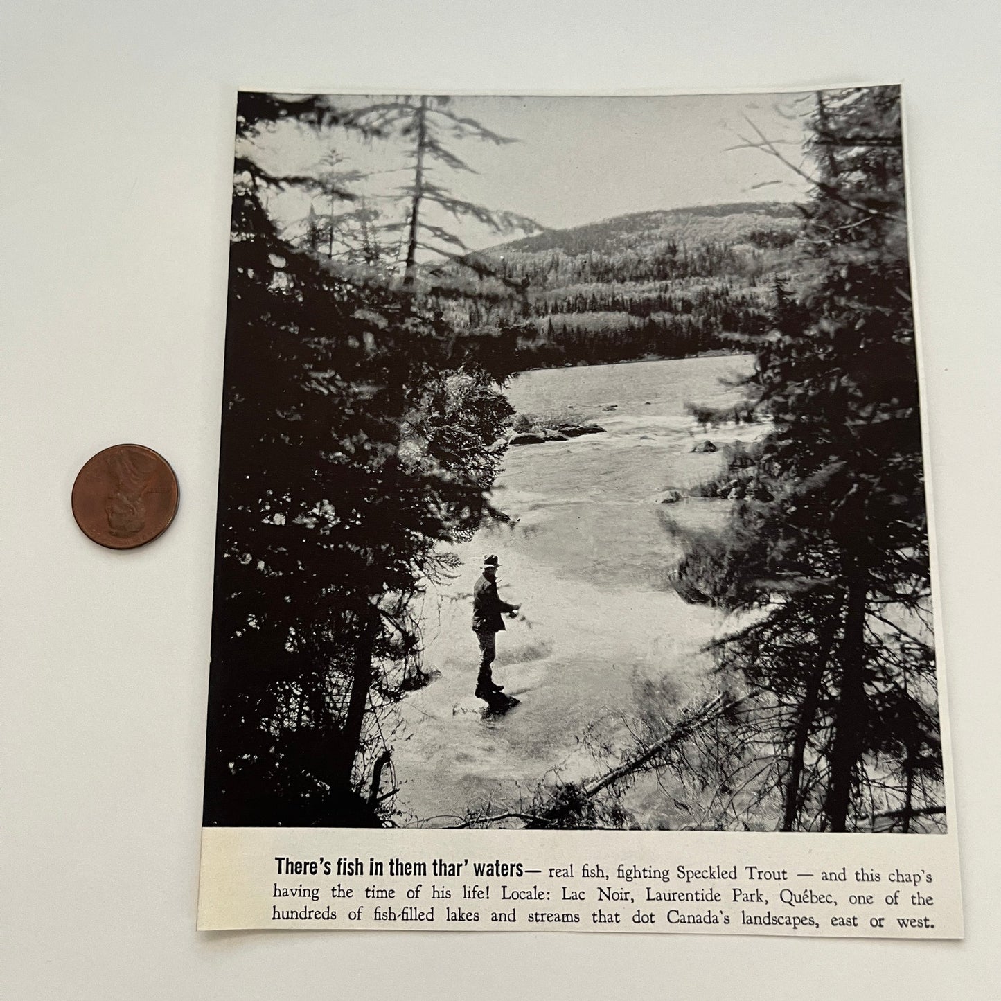 There's Fish In Them Thar' Waters Laurentide QB 1941 Magazine Picture SAG4-H1