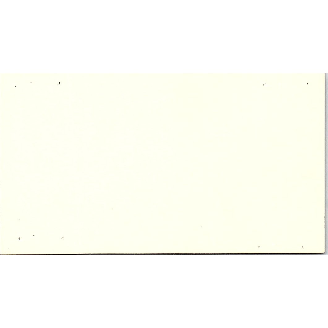 Fannie Steinberg Tami Morris A&F Properties Jacinto Towers Houston Card SE3-B14