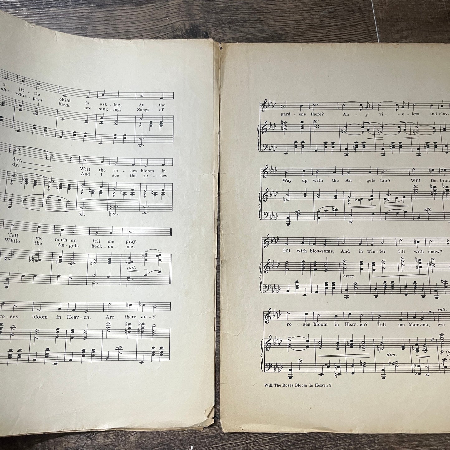 Will the Roses Bloom in Heaven Chas. K. Harris 1911 Sheet Music V13