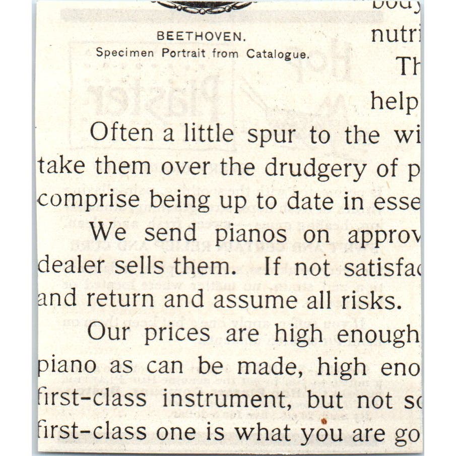 Hop Plaster Company Boston Grasshopper c1890 Victorian Ad AE8-CH10