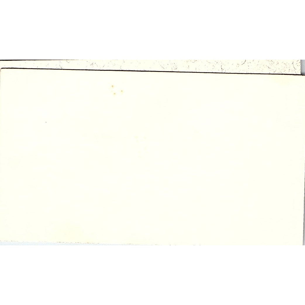 The Cellular Phone Store Mary Kwietniak Houston Vintage Business Card SD9-B14