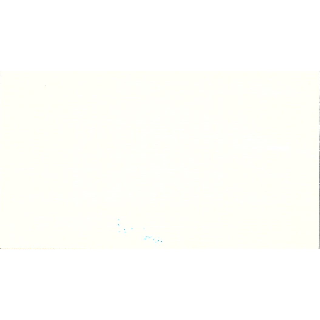 M&M Memories By Monique Wolfe Webster TX Vintage Business Card SC9-B9