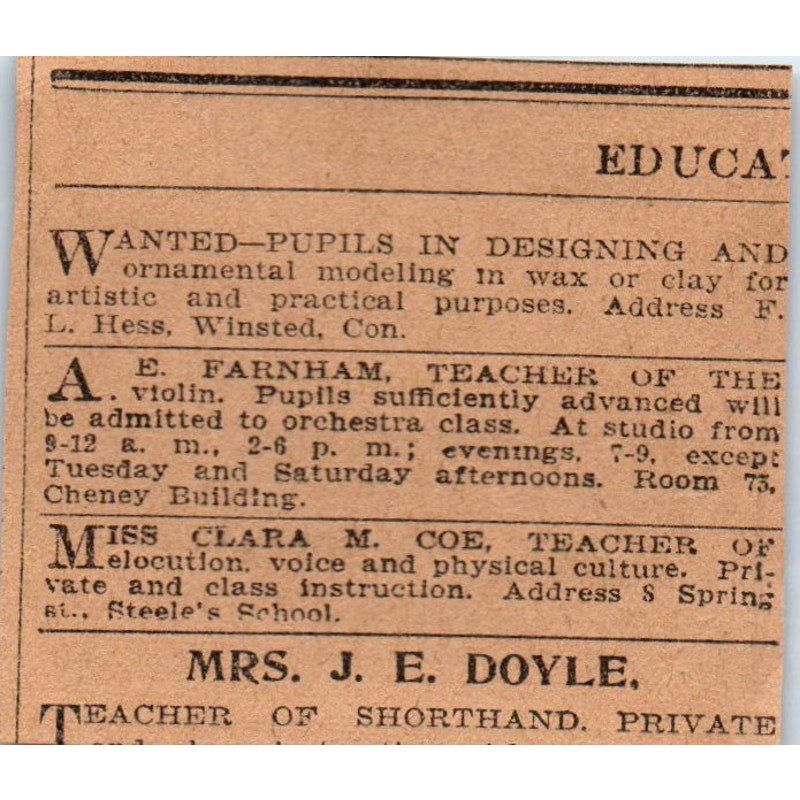 F.S. Amidon Brass Bird Cages Hartford 1901 Newspaper Ad AD8-HS1