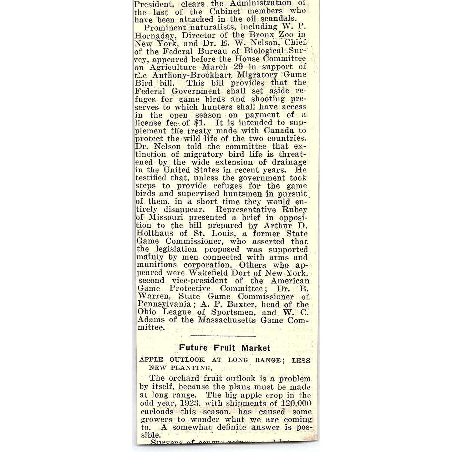 The Witte Engine Works Witte Log-Saw Kansas City Pittsburgh 1924 Ad AG3-H2