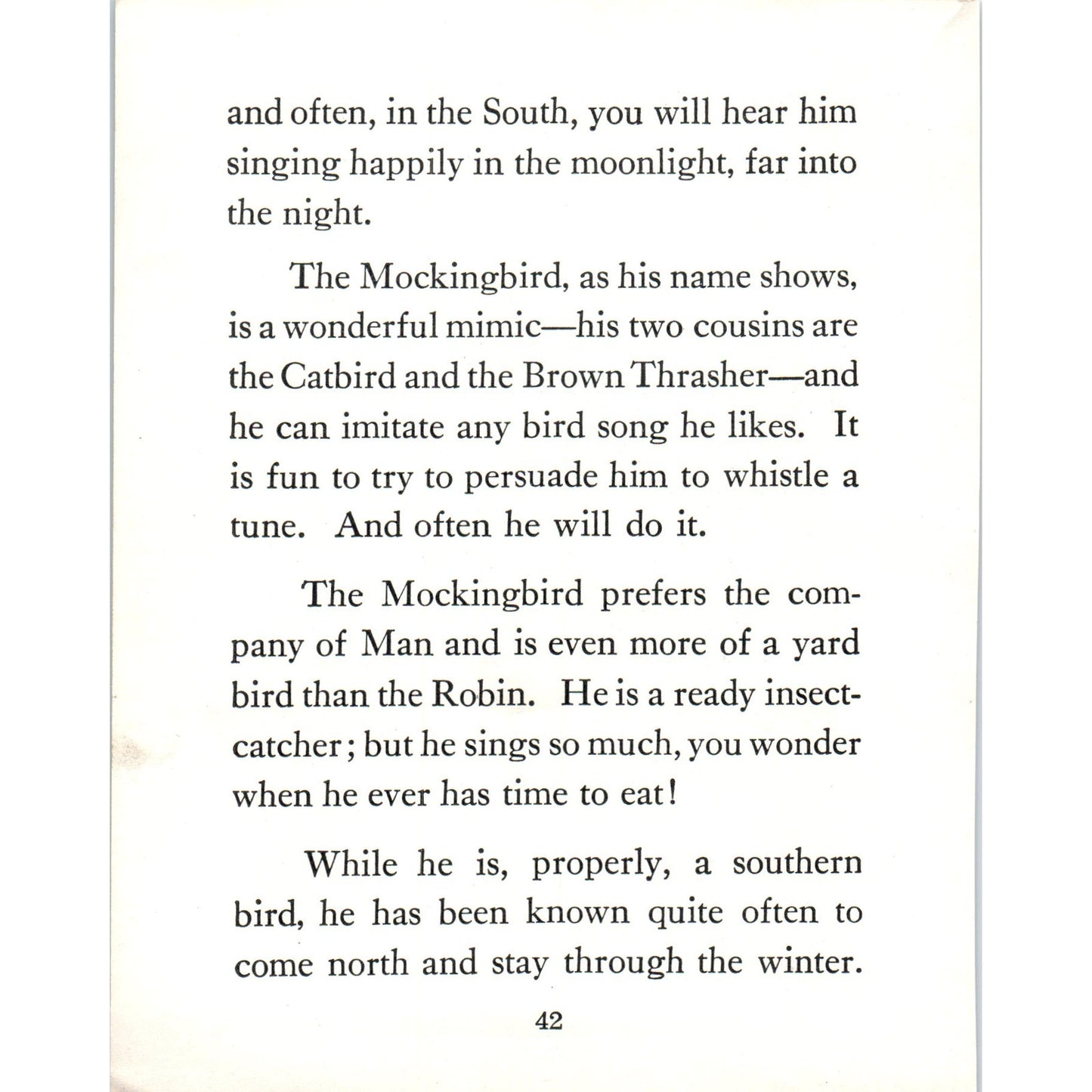 Mocking Bird Mockingbird 4.5x.6.25" Allan Brooks 1934 Bird Book Print AF1-BB