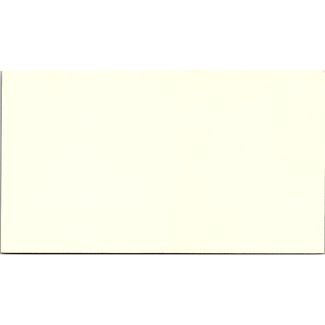 Ipe Mathai RN Tender Loving Care Health Services Houston Business Card SD9-B7