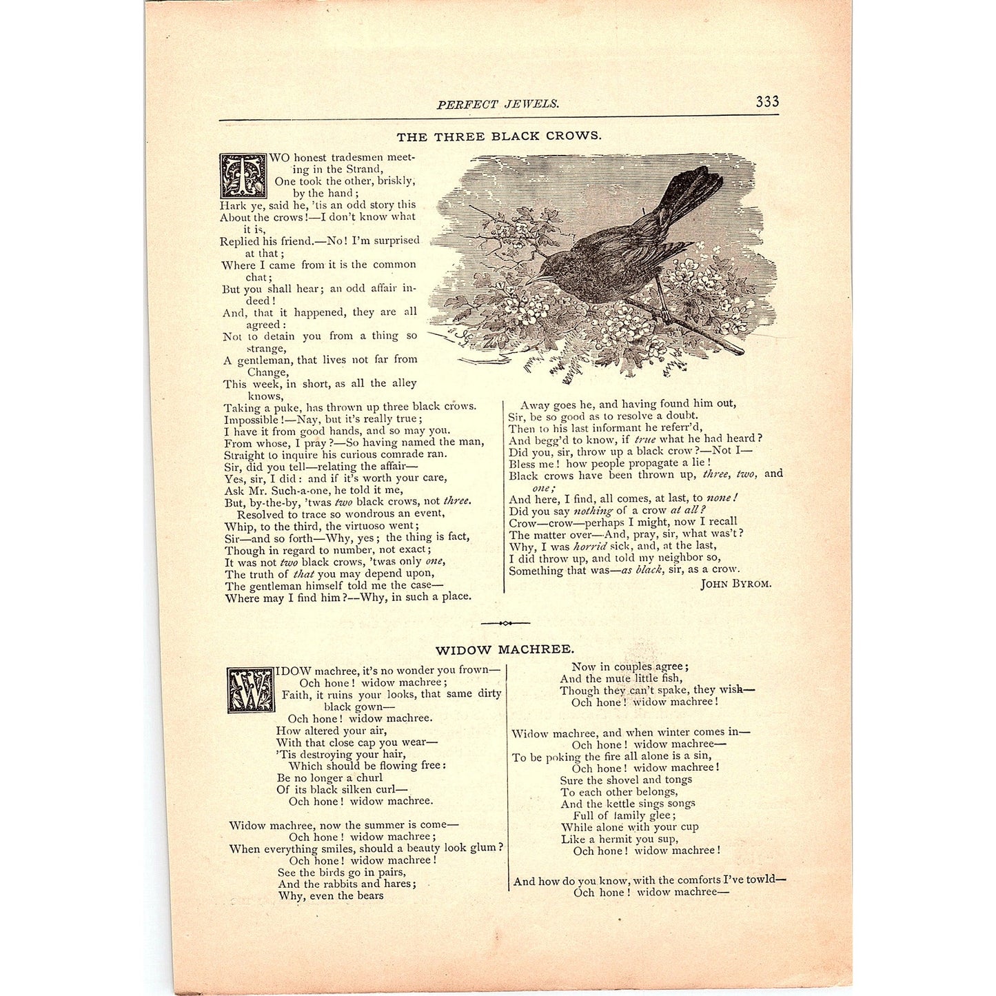 Three Black Crows - John Byrom, Widow Machree - Samuel Lover 1884 Poem TA5-CJ-5