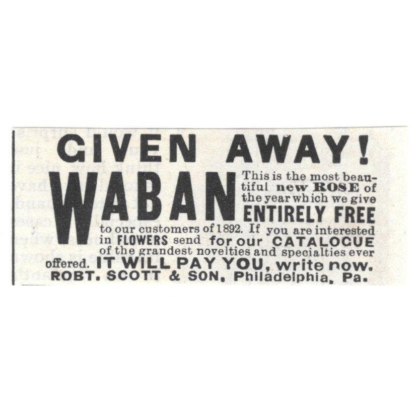 Robert Scott & So Waban Roses Philadelphia PA 1892 Ad AG2-S22
