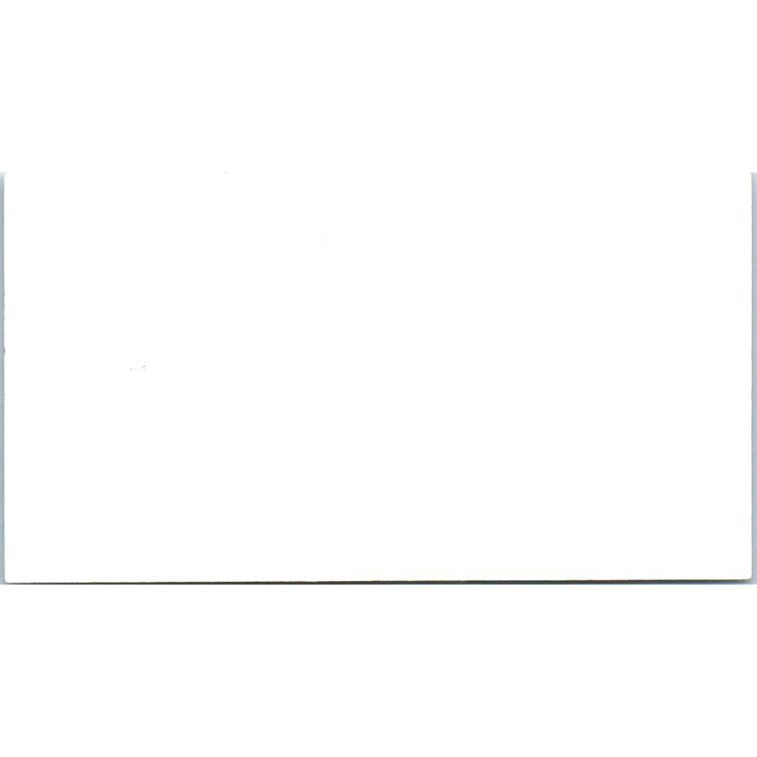 Champion Chemicals & Swimming Pool Supplies Termite Watkins Business Card SD4-B2