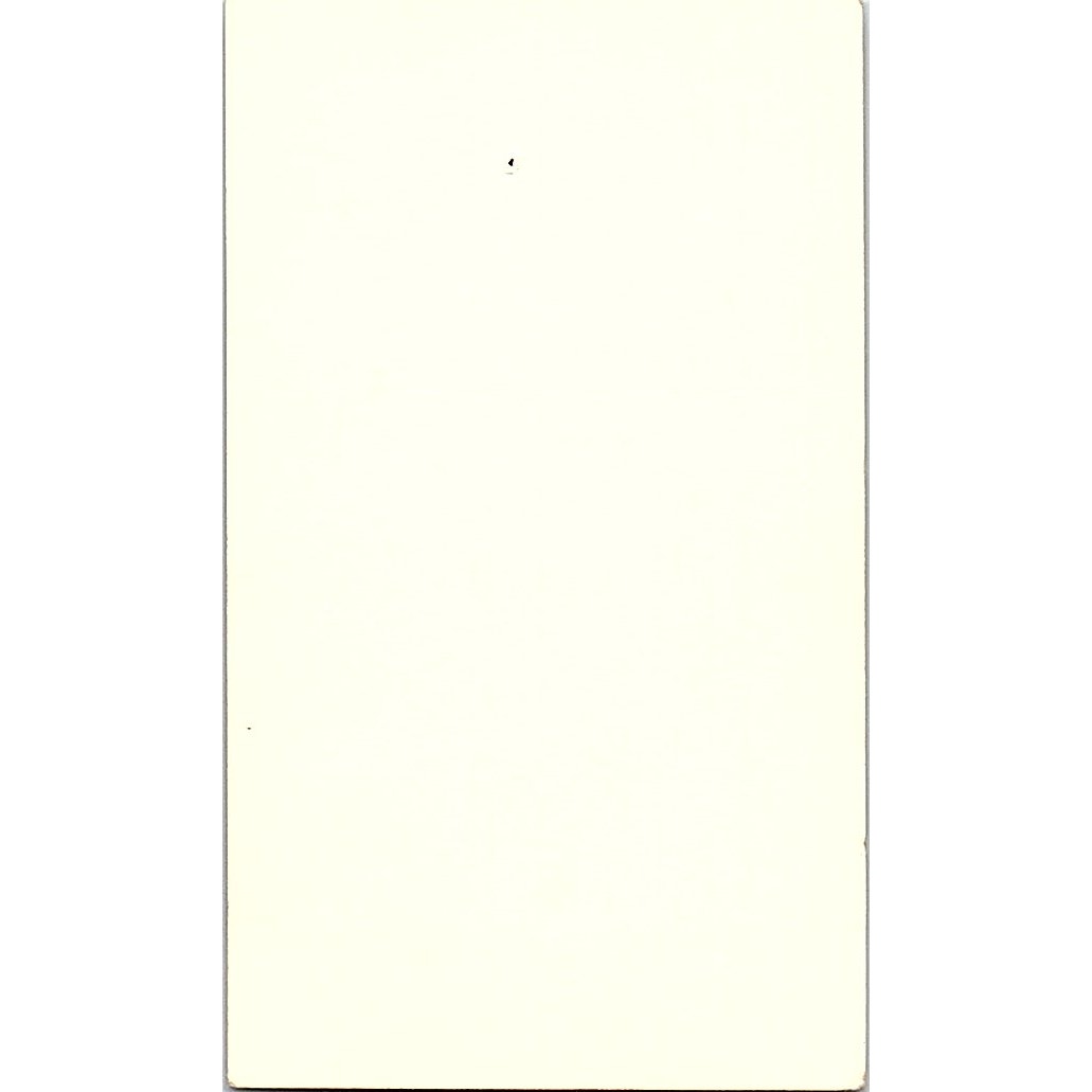 Mildred Chesney Bookkeeping Services AMC Vintage Business Card SC9-B6