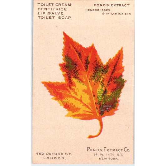 Pond's Extract Co London Maple Leaf c1880 Victorian Trade Card AF1-AP8