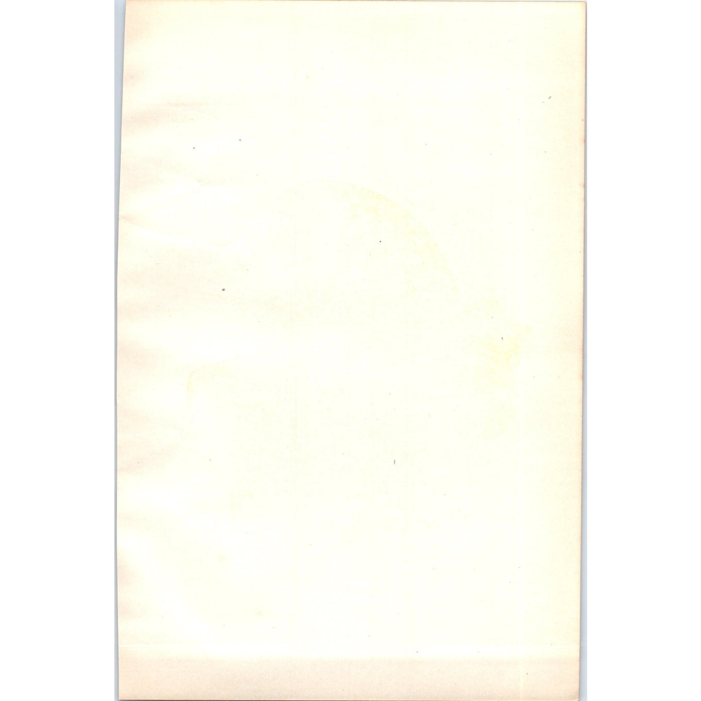 Marsh Tit Bird 1903 Original Color Engraving Plate Print AD8-B2