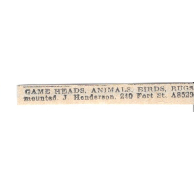 Game Heads - J. Henderson Taxidermy 240 Fort St Winnipeg 1920 Ad AG2-S6