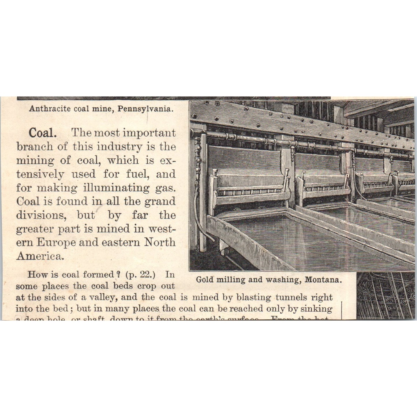 Lumbering in Washington 1901 Engraving AF2-A6