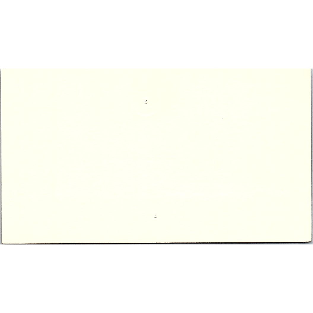 T-Lok interior Decorations Of Greater Houston Ron Sax Texas Business Card SF3-B3