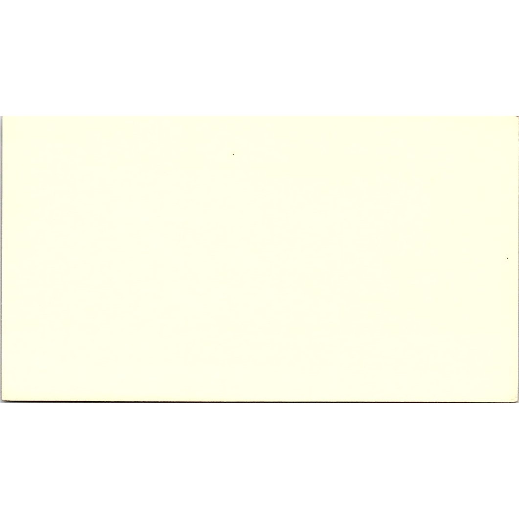 Mary Sanchez Avon Representative Vintage Business Card SE3-B14