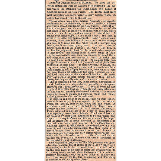 American Brook Trout - American Fish in English Waters 1878 Article AG2-7