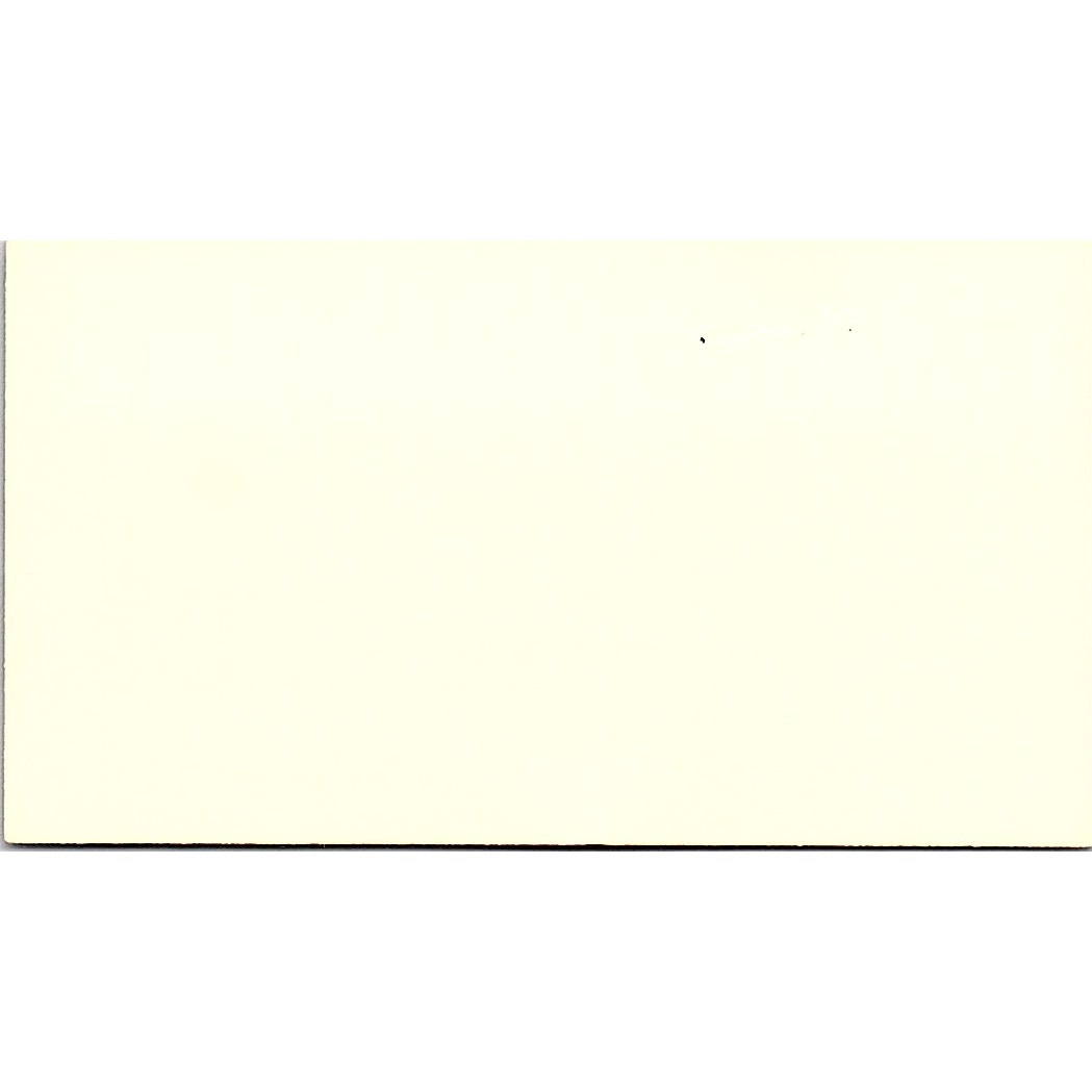 Foleys Debbie Thompson Wedding Social Stationery Houston TX Business Card SB4-B8