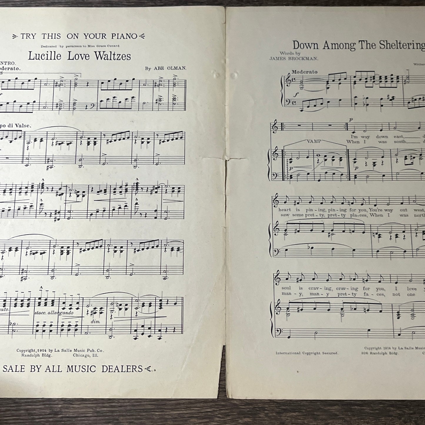 Down Among The Sheltering Palms James Brockman Abe Olman 1914 Sheet Music V13