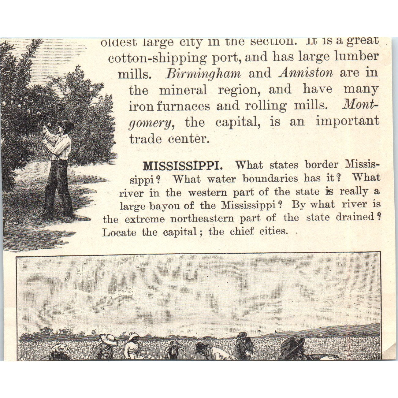 Baling Cotton in Memphis Tennessee 1901 Engraving AF2-A6