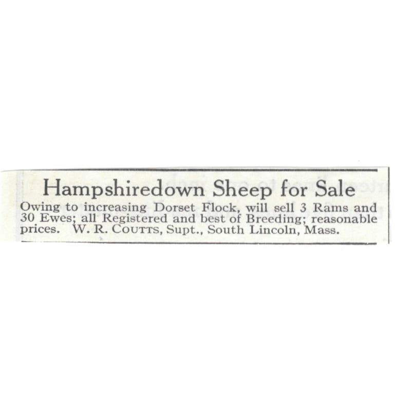 Hampshire Down Sheep W.R. Coutts South Lincoln MA 1913 Magazine Advert AE7-N8