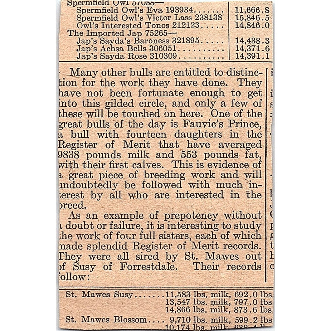 Dandelion Butter Color Wells & Richardson Co Burlington VT 1920 Ad AG2-M2