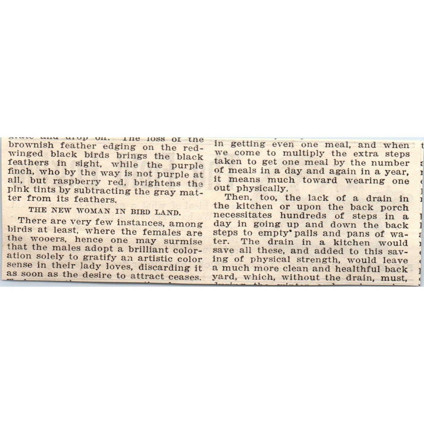 Field Engine Field-Brundage Jackson MI Palmer Bros Cos Cob CT 1905 Ad AF1-NH1