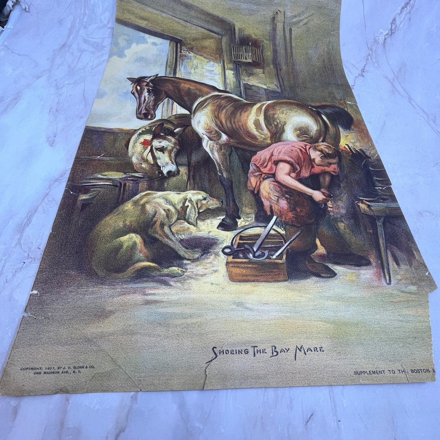 1907 Shoeing the Bay Mare Art Print Lithograph 11x17 FL6-4