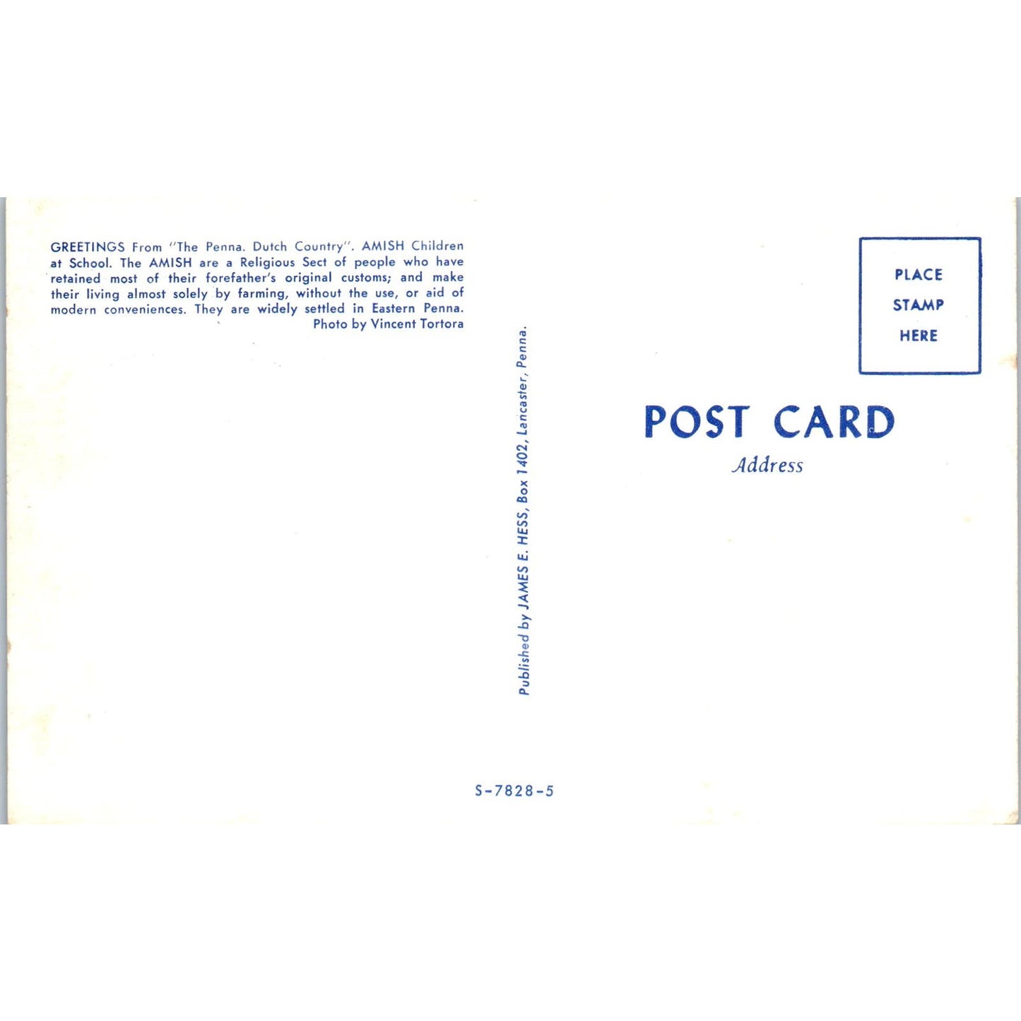 Amish Children at School Pennsylvania Dutch Country Vintage Postcard PD5