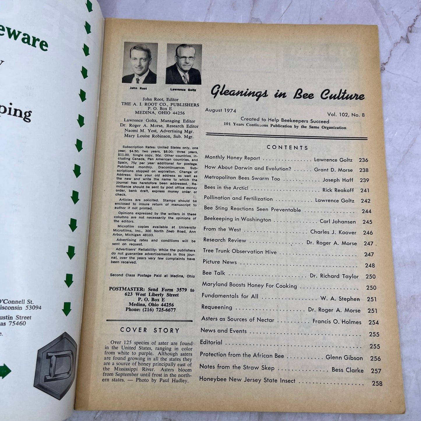 1974 Aug - Gleanings in Bee Culture Magazine - Bees Beekeeping Honey M33
