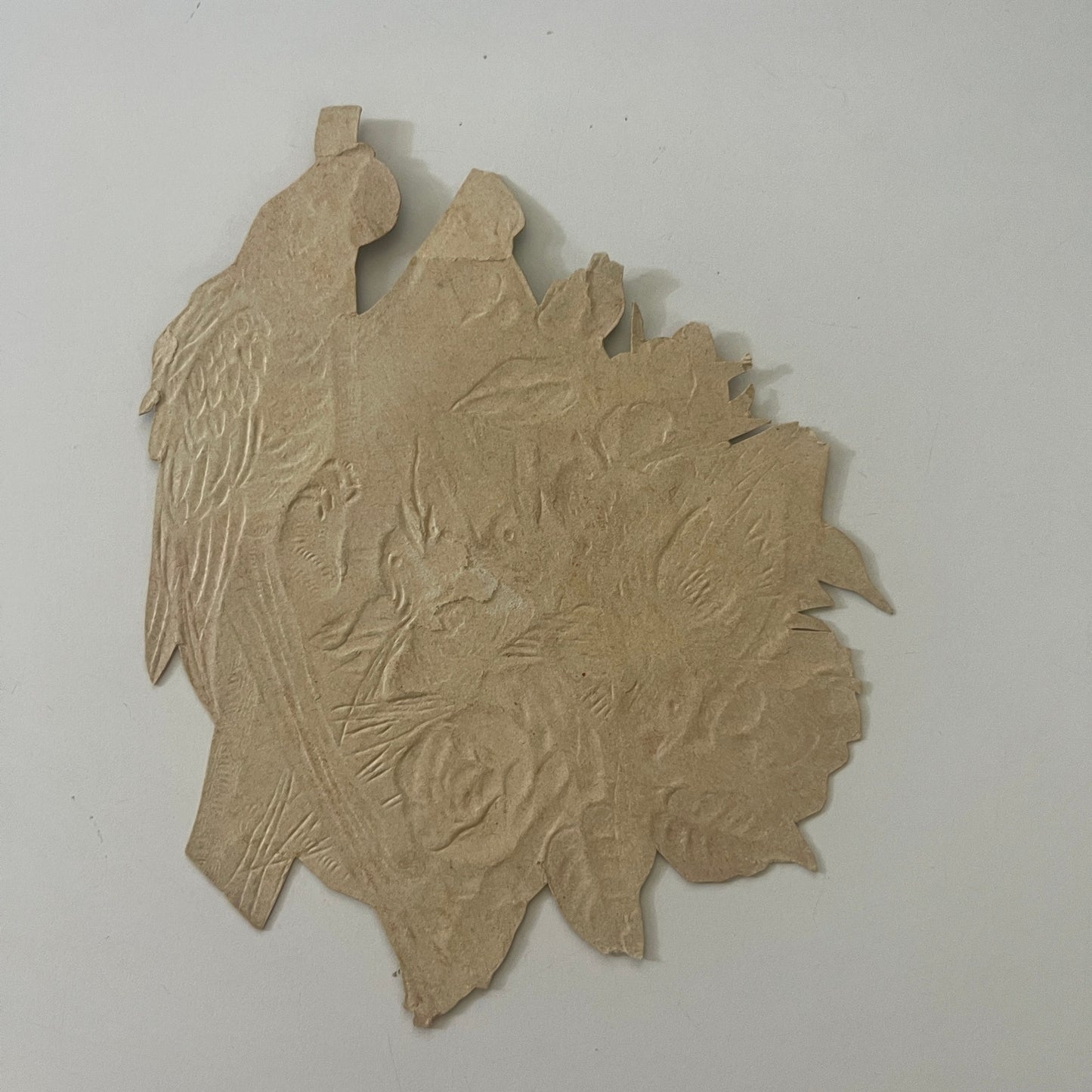 1880s Embossed Victorian Die Cut Parrot Feeding Babies Pink Roses 6 x 4” SAH9-H7