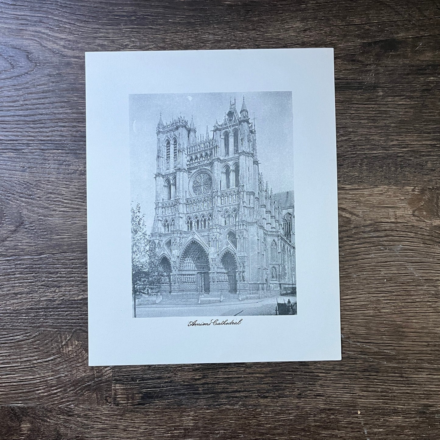 Amiens Cathedral Black and White Photo Print 8x10 Vintage Art Print V3