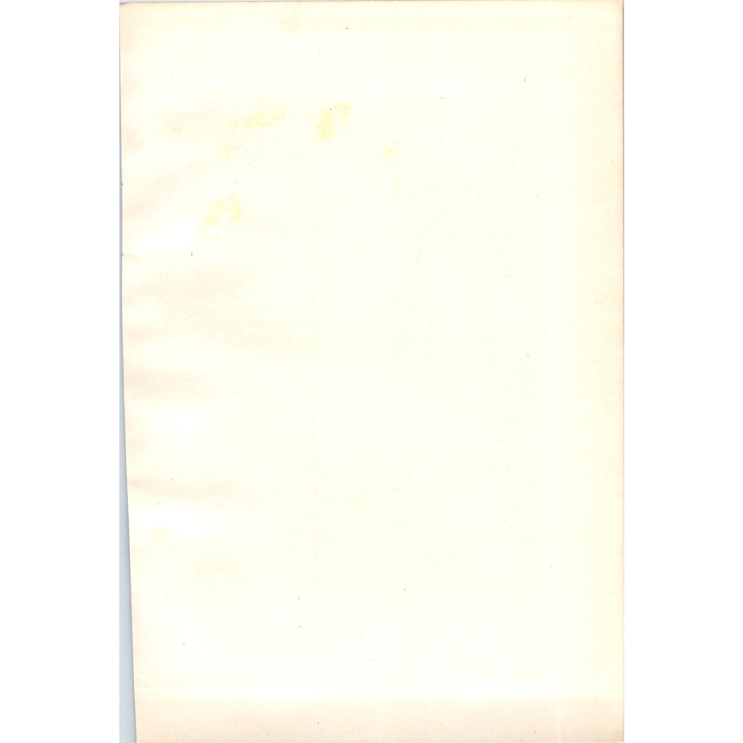 Barn Owl Bird 1903 Original Color Engraving Plate Print AD8-B8