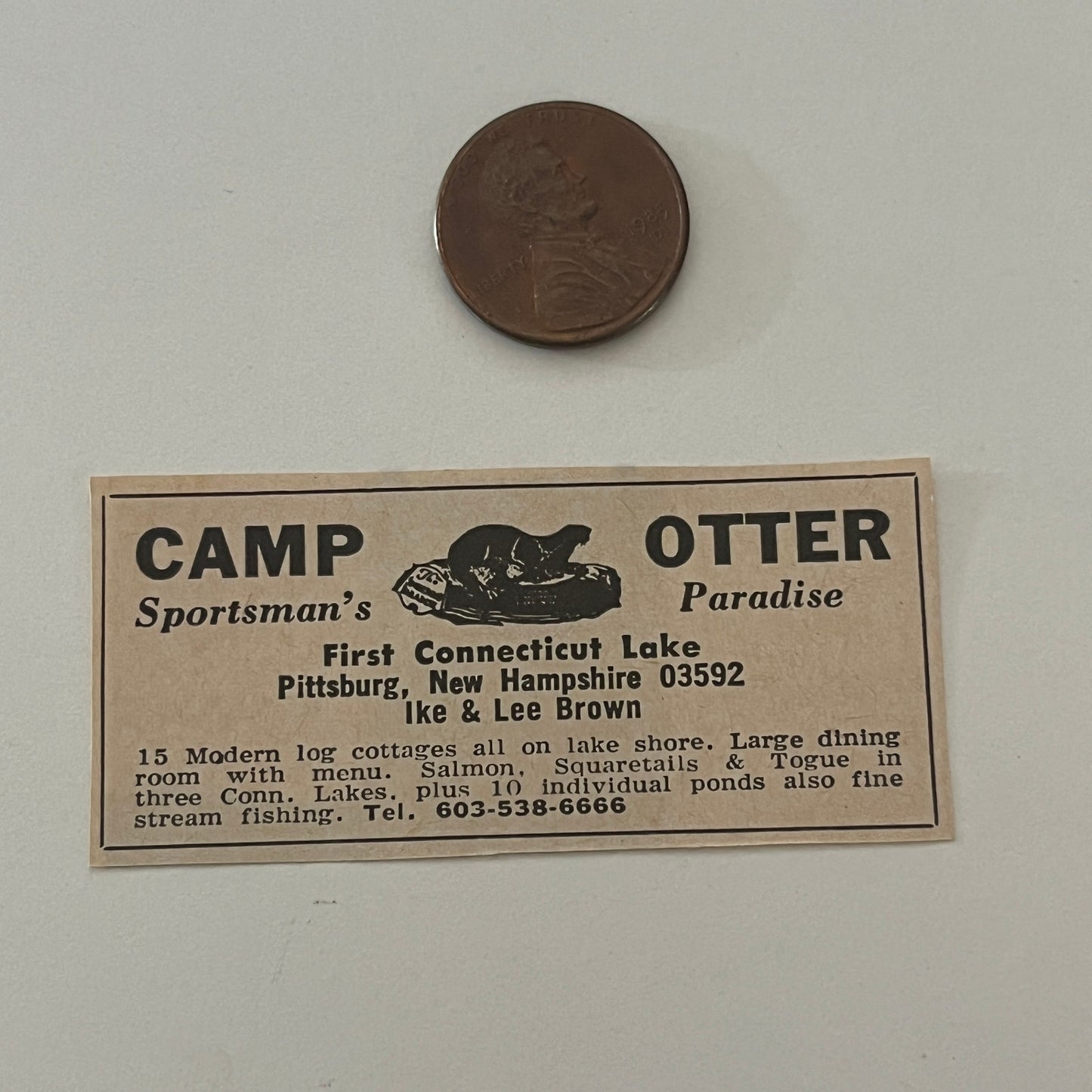 Camp Otter Paradise Ike & Lee Brown Pittsburg NH 1971 Magazine Ad SAG4-S17