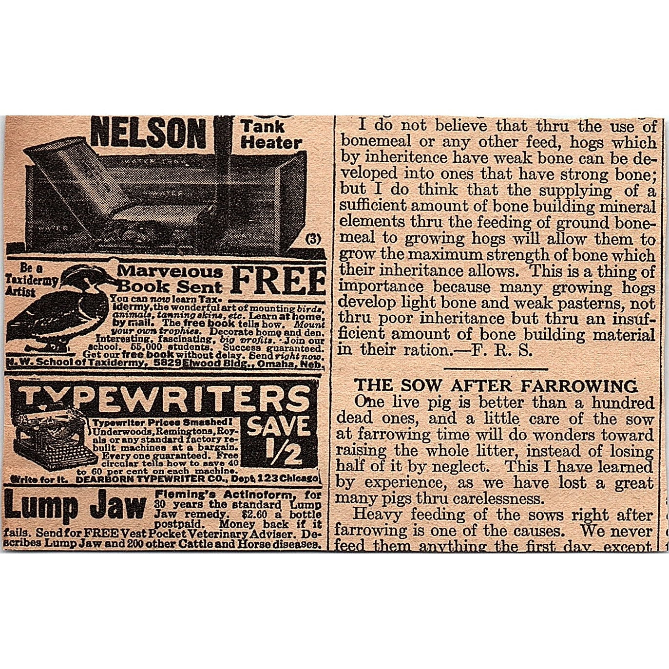 Walsh Harness - James M. Walsh Harness Co Milwaukee WI 1920 Ad AG2-6