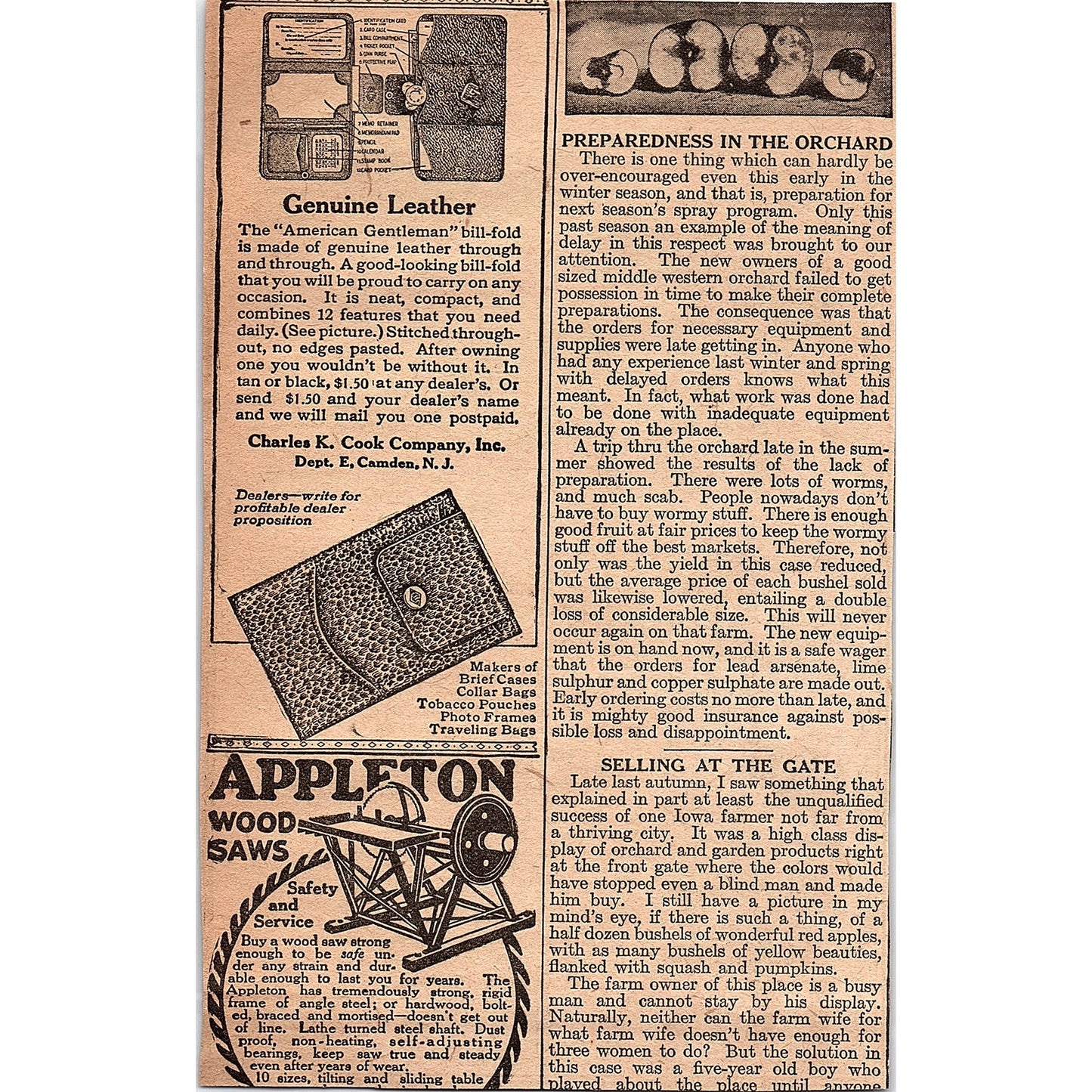 Hayes Fruit-Fog Sprayers Hayes Pump & Planter Co Galva IL 1920 Ad AG2-6