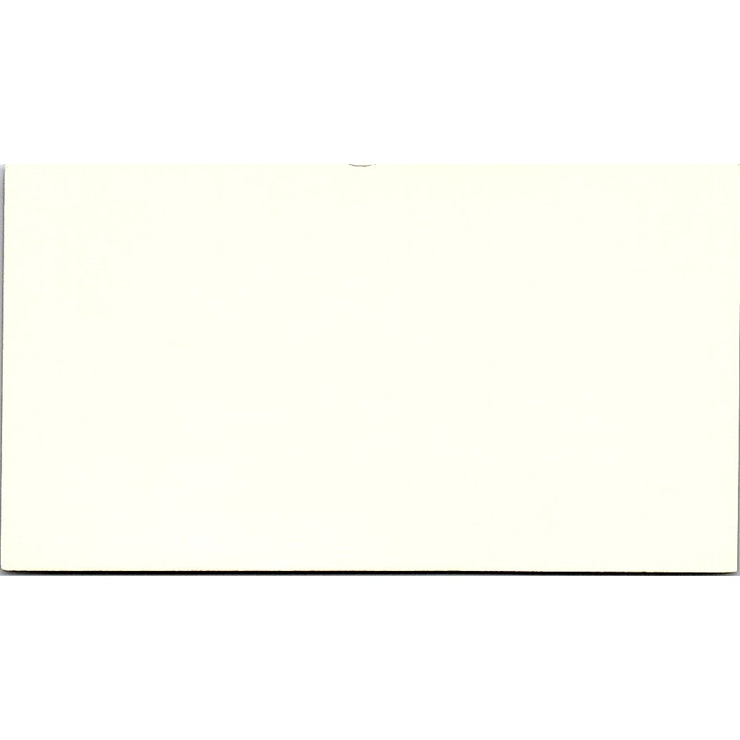 Custom Made Debbie Byrum, Seamstress Channelview TX Business Card SSB4-B12