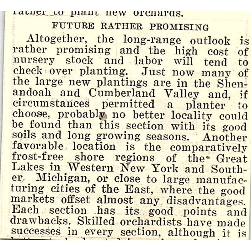 F.J. Townsend Wire Stretcher Painted Post NY 1924 Ad AG3-S17