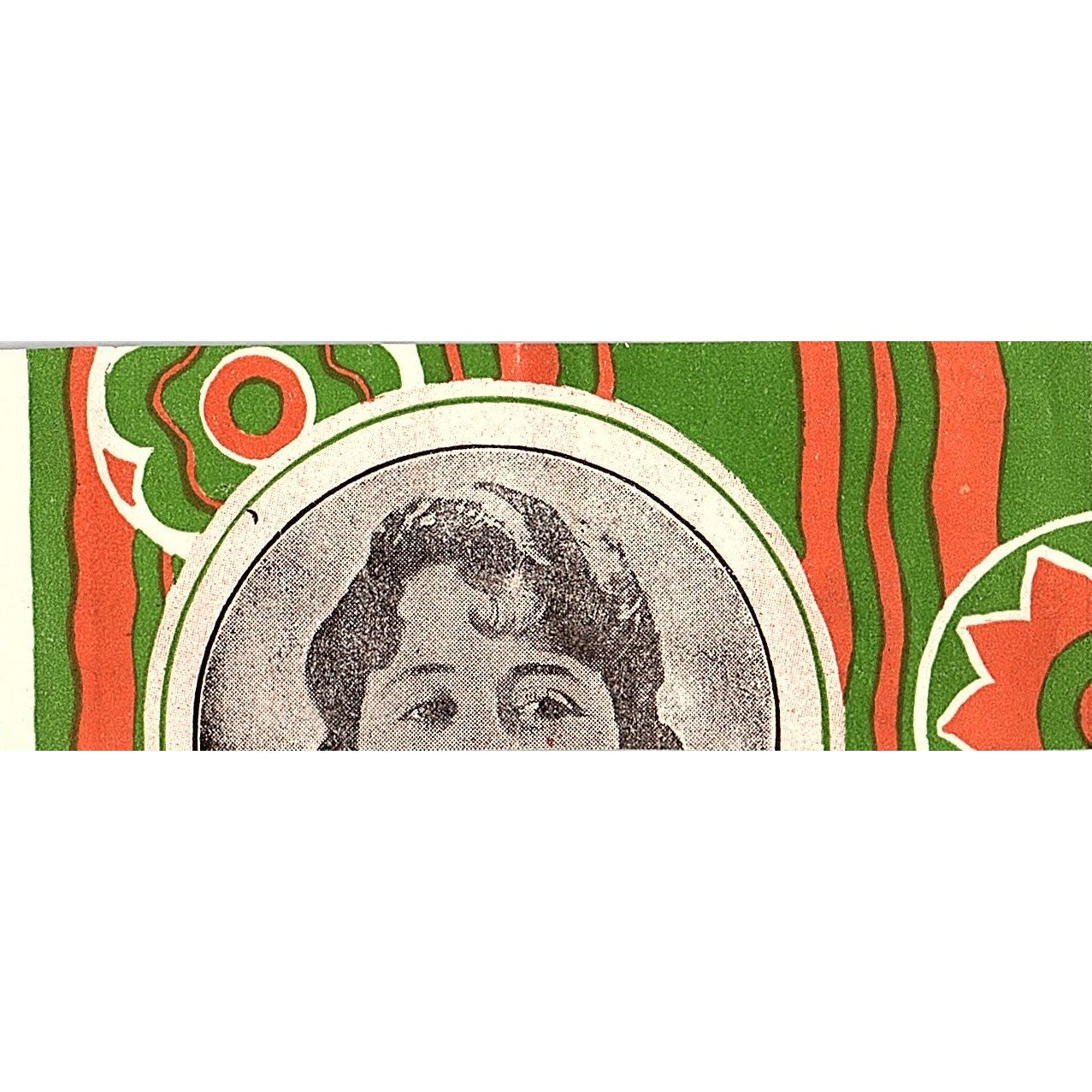 Schneider's Pork Store 445 Central Avenue NY 1920s Ad AF3-8