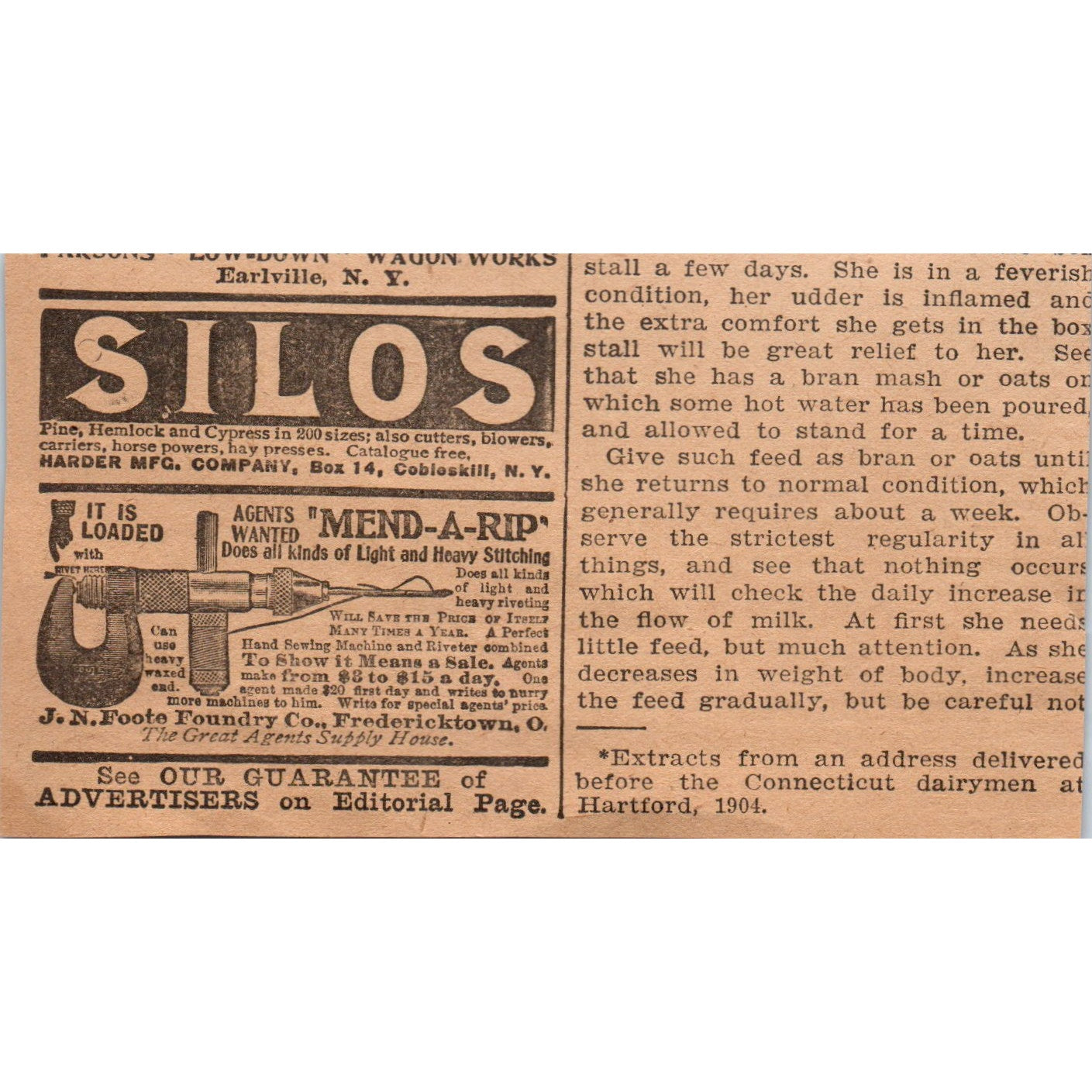 Northrub, King & Co Seed Growers Minneapolis MN 1905 Magazine Ad AF1-NH4