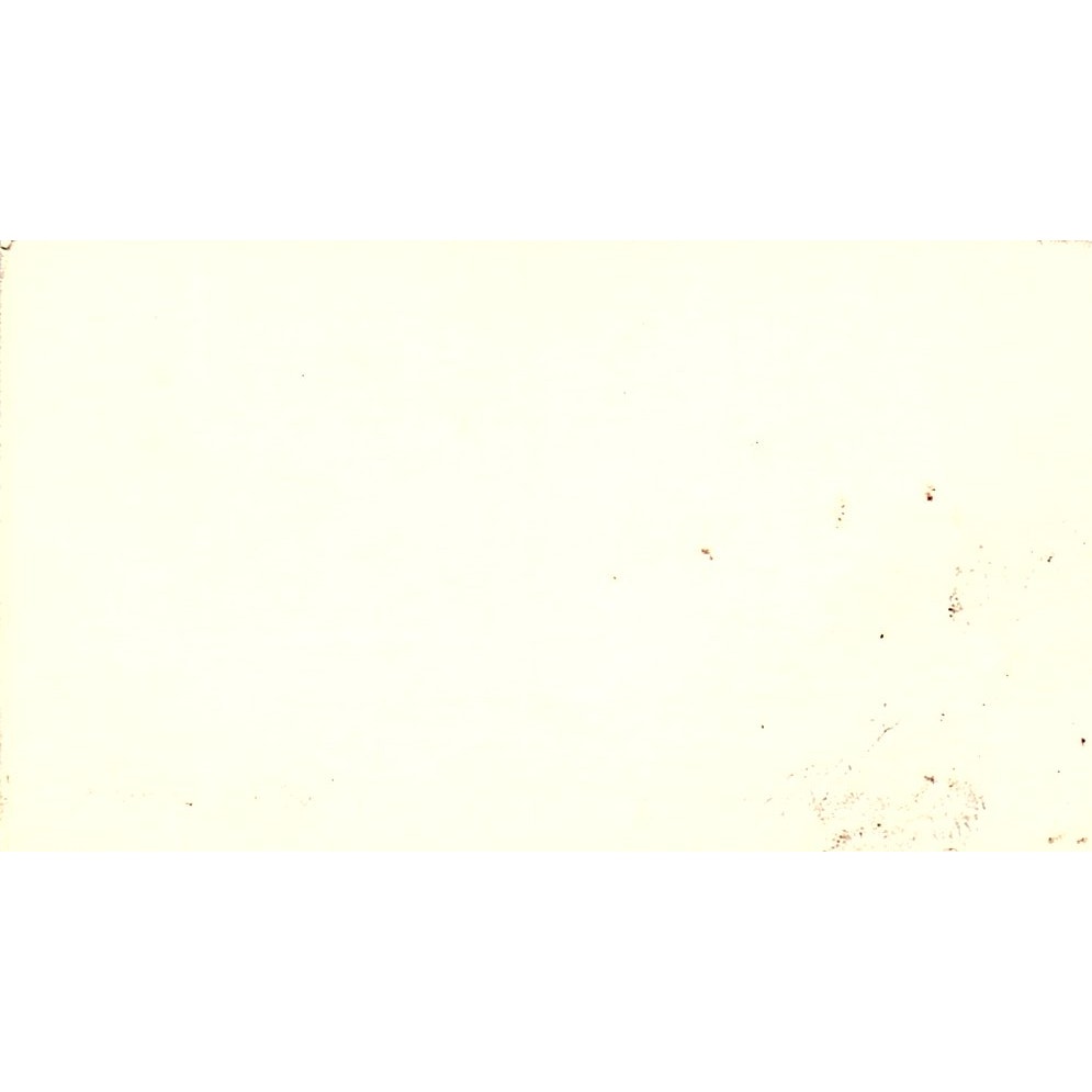 Spike's Steam Cleaner & Chemical Service Springfield Oregon Business Card SB4-B1