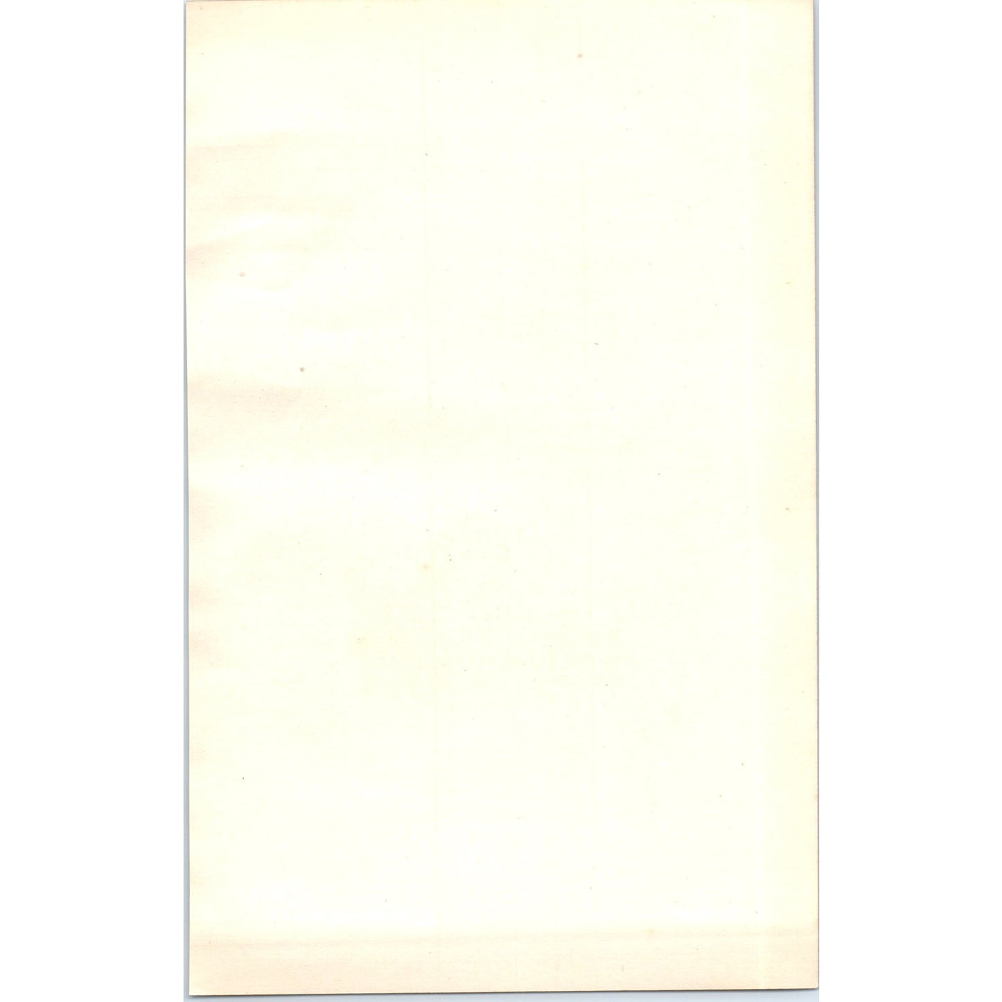 Black-Headed Bunting Bird 1903 Original Color Engraving Plate Print AD8-B4