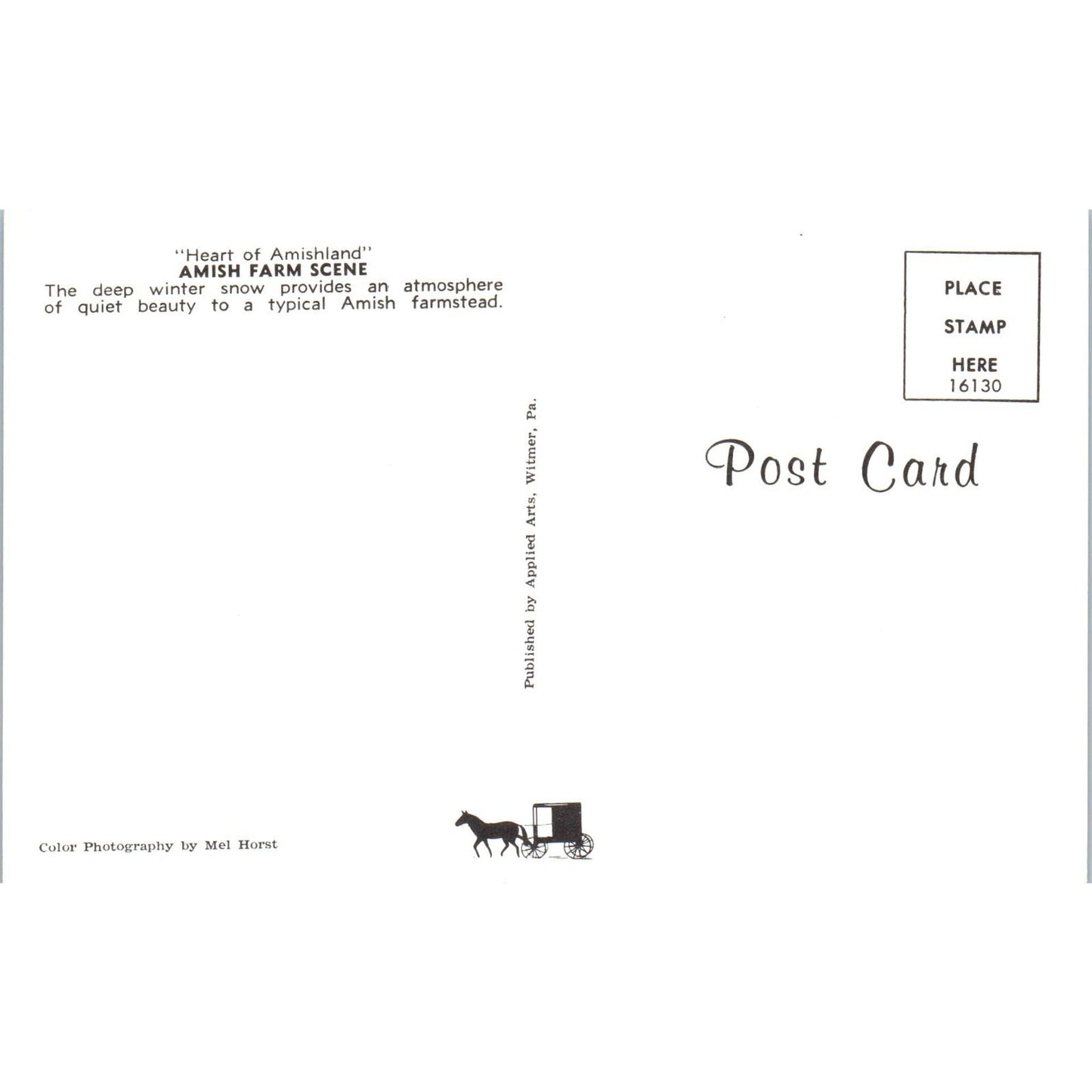 Winter Amish Farm Scene Pennsylvania Dutch Country Vintage Postcard PD5