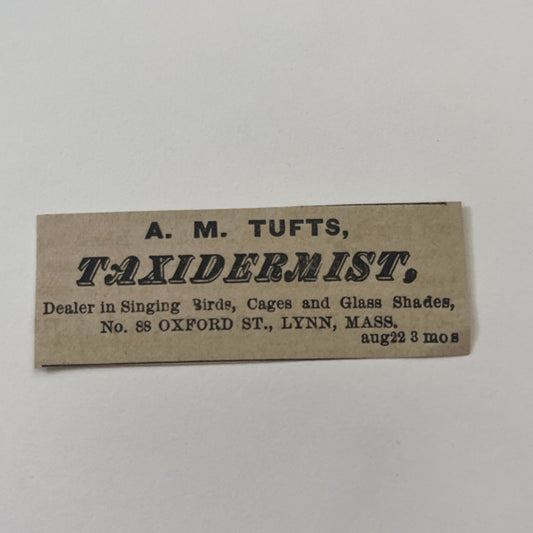 A.M. Tufts Taxidermist 88 Oxford St. Lynn MA 1878 Ad AG2-M16