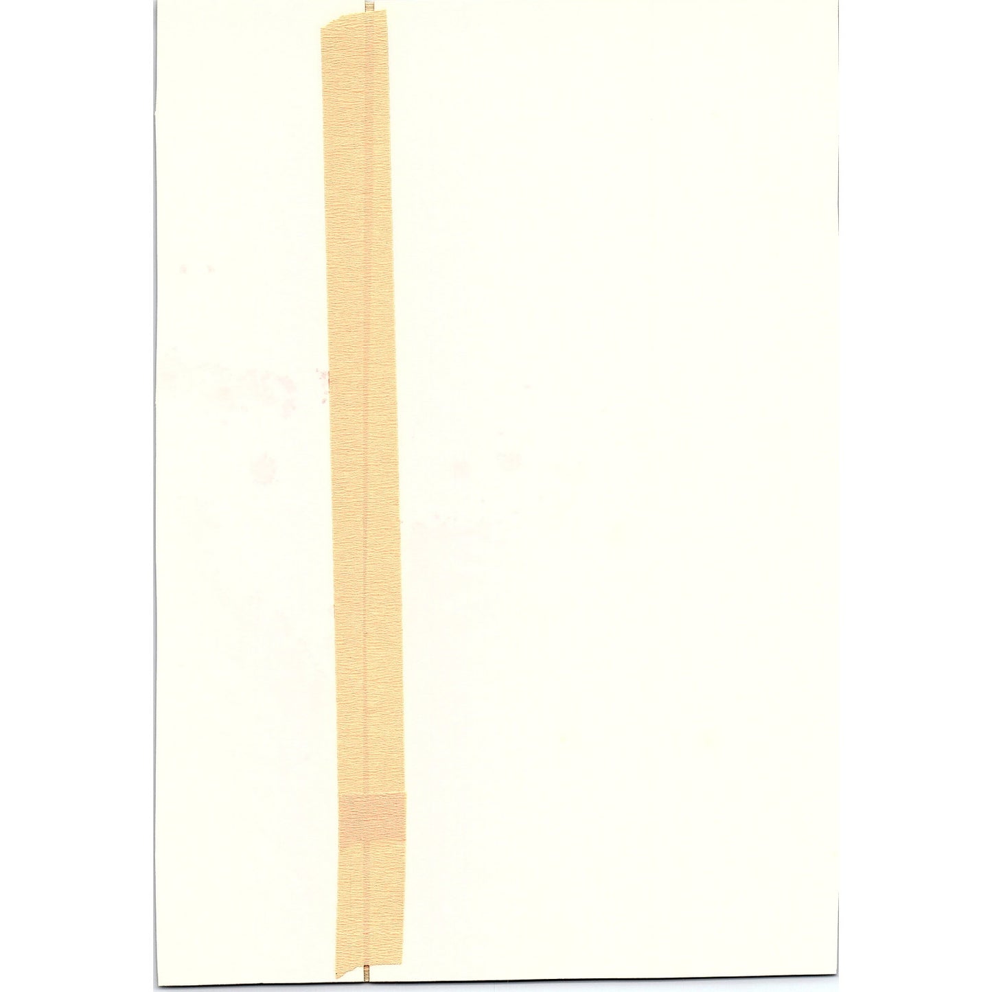 Antique Print - Yellow Daffodils Floral Art Print 7x10 V6