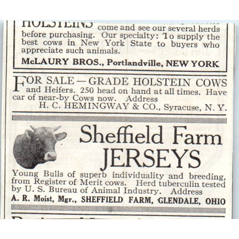 E.C. Stearns Running Green Bone Cutter Syracuse NY 1913 Magazine Advert AE7-N7