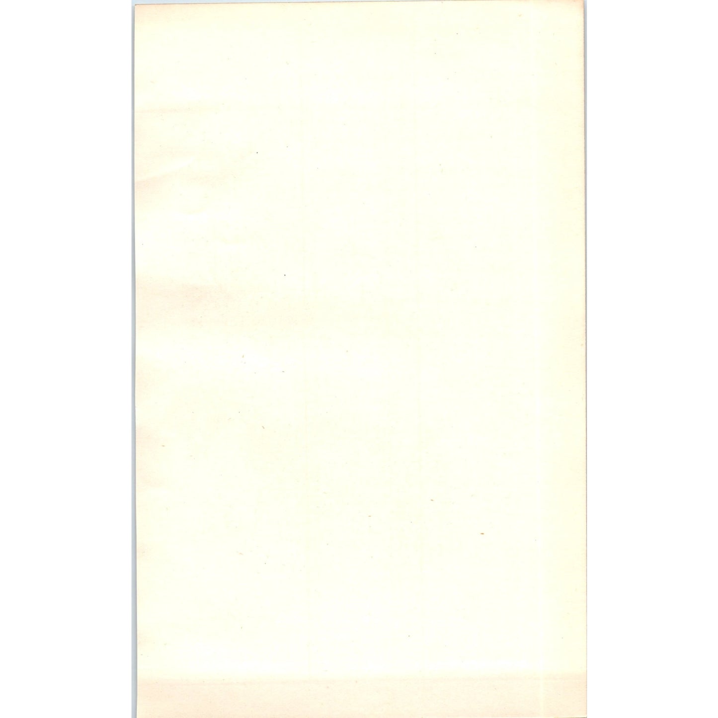 Great Spotted Woodpecker Bird 1903 Original Color Engraving Plate Print AD8-B4