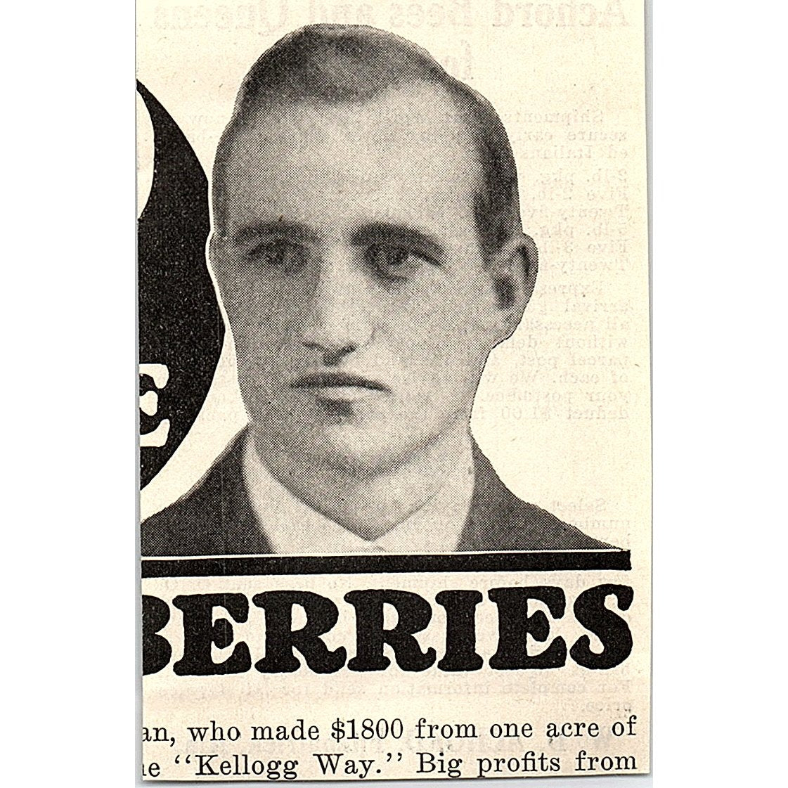 W.D. Achord Bees and Queens Fitzpatrick Alabama 1926 Ad AG3-M8