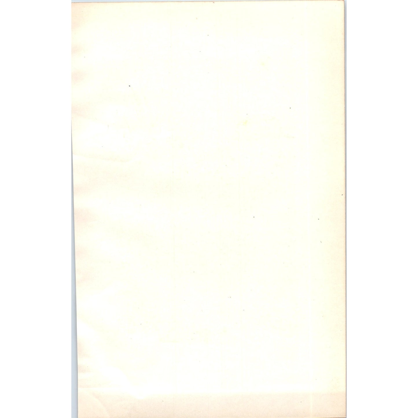 Dotterel Bird 1903 Original Color Engraving Plate Print AD8-B1